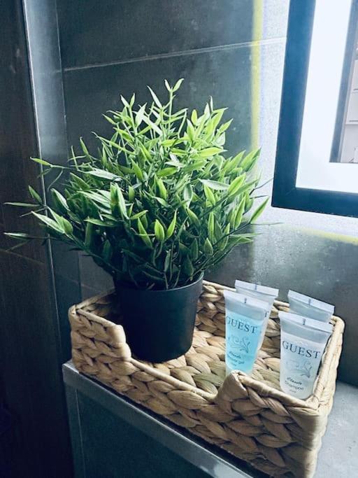 Apartament Stary Щецин Екстер'єр фото