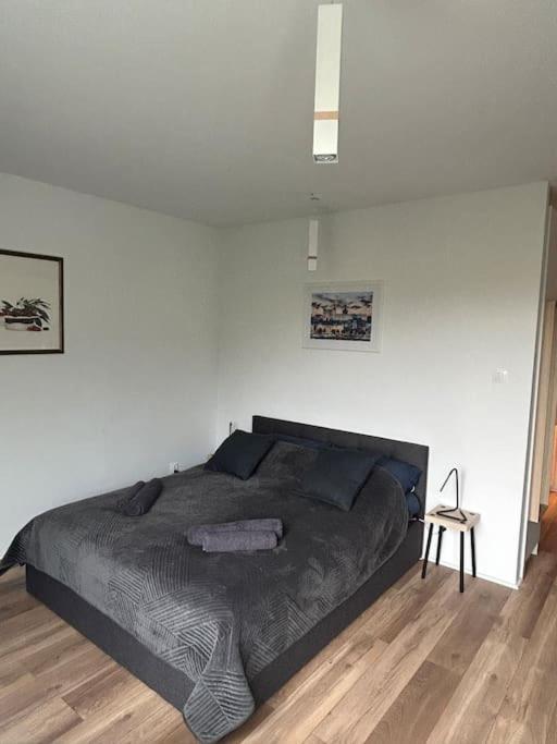 Apartament Stary Щецин Екстер'єр фото
