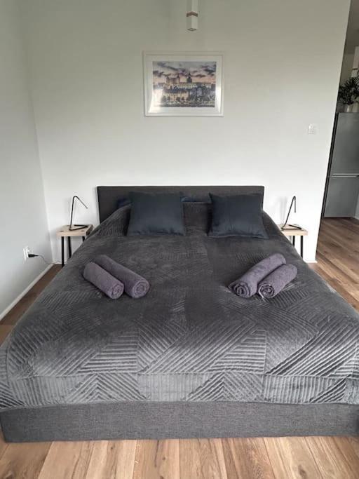 Apartament Stary Щецин Екстер'єр фото